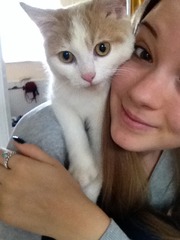 Cat's facial expressions :)