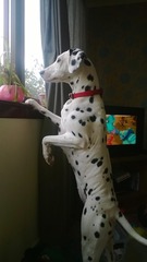 Photos that make you laugh