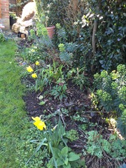 It will not always be summer; build barns. The potting shed goes on...