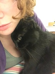 Miaowing constantly