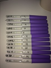 Can anyone see a positive ovulation??
