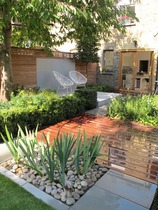 What can we do with this garden? (Photo included, I hope!)