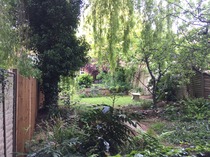 If this was your garden what would you do?