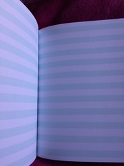 Bullet Journal
