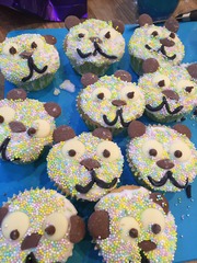 Cadbury Dairy Milk Mixed Buttons Tester Review Thread NOW CLOSED