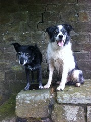 golden oldies past and present