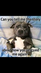 Photos that make you laugh