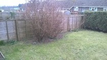 Colour for garden but clueless - please help me! (pics included)