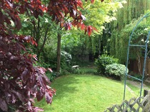 If this was your garden what would you do?