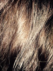 Clairol nice ‘n easy hair dye feedback thread - £300 voucher to be won. NOW CLOSED