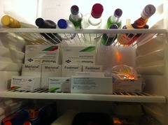 You are not a robot and the ovary whisperer's chanting for you in the viroid commune with our carved cock relics- don't panic about the acid foof! It's JS 58!!!