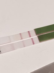 The craziness that is TTC after stopping the pill. On this thread we have 100 day cycles, do weeks of opks and send ovia into a fit with our ever changing fertile windows! Welcome.