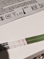 The craziness that is TTC after stopping the pill. On this thread we have 100 day cycles, do weeks of opks and send ovia into a fit with our ever changing fertile windows! Welcome.
