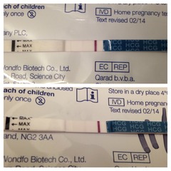 Squinter