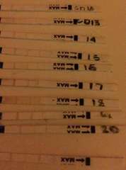 Can anyone see a positive ovulation??