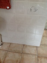 Ideas on colours, paint, flooring and curtains/blinds for bathroom