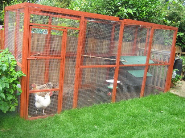 General coop advice needed please