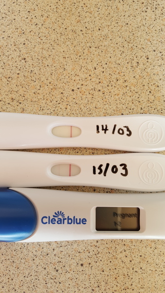 Help evap line or bfp
