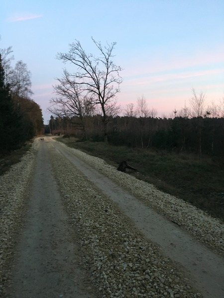 Running thread part 8