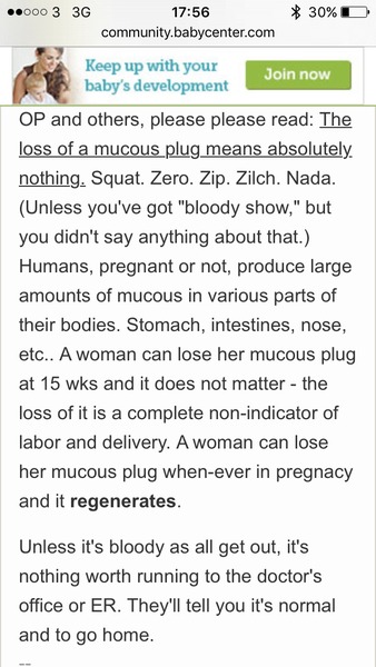 August 2016 number 4 - bumps popping and scans happening, we actually have babies!