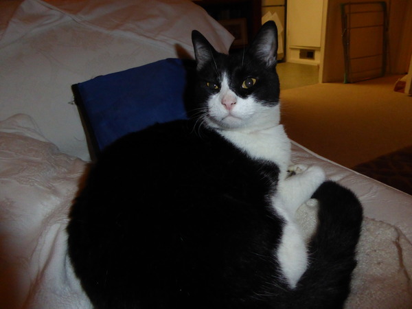 Austere April Advances (even though it's mid March.....). Frugaleers Unite