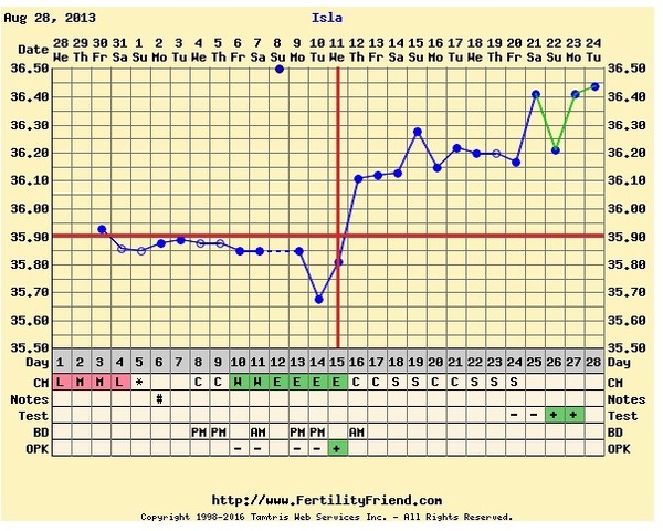 Tracking BBT - any veterans out there?