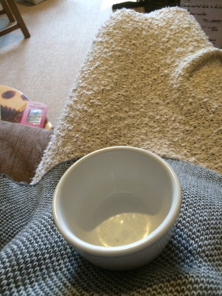 July 2016 (7) We're halfway to meeting our little bubs