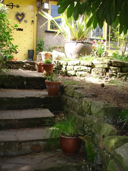 Dogs.......and replacing area of lawn!