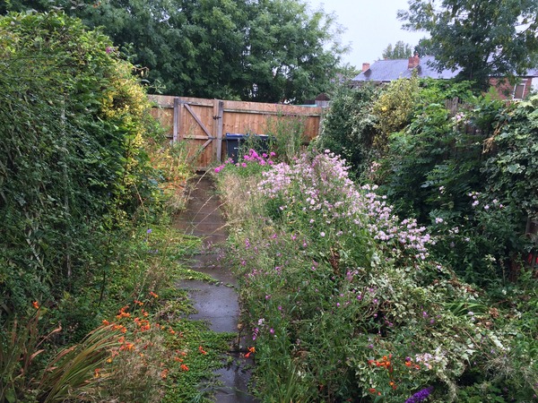 "in the midst of winter, I found there was within me, an invincible summer" Potting shed chat continues here