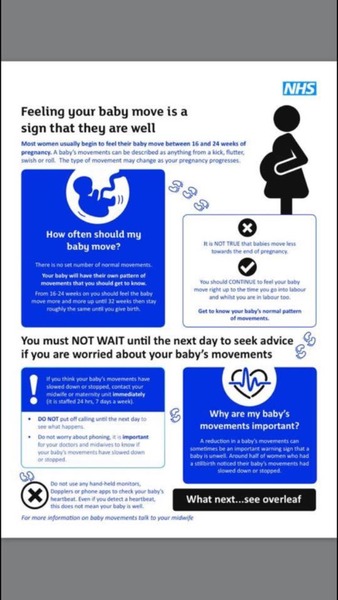 July 2016 (7) We're halfway to meeting our little bubs