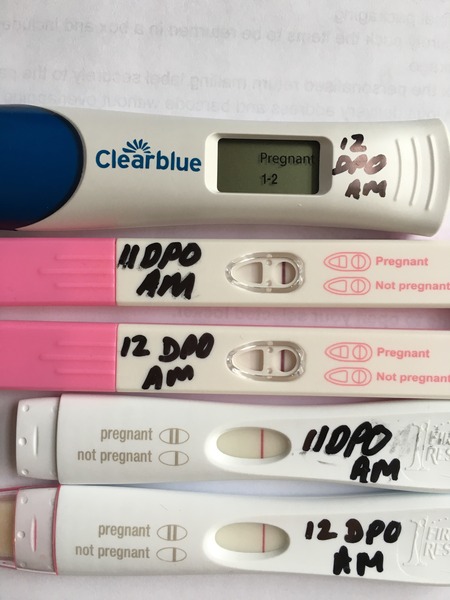 Help evap line or bfp