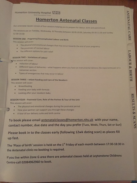 August 2016 number 4 - bumps popping and scans happening, we actually have babies!