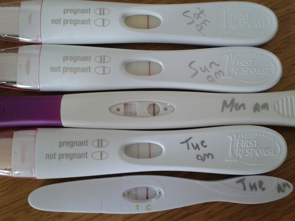 TTC through Donor IUI or Donor IVF or just undecided - all welcome!