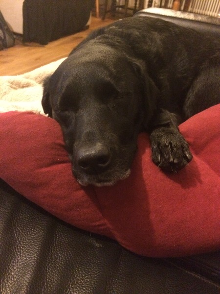 November 2016. Hoping for sticky ones!!!