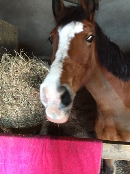 Austere April Advances (even though it's mid March.....). Frugaleers Unite