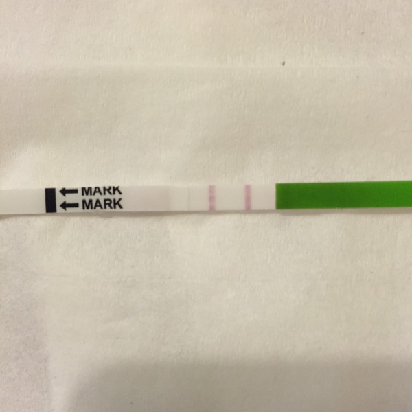 Positive OPK?