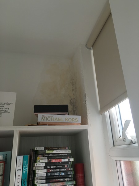 Advice on damp proofing a house before renting it out