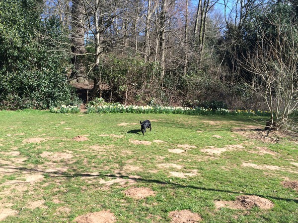 Our Girl and Captain James Addicts Thread XXXIV