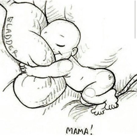 Thread #4 - TTC#1 the one where Stark joins the grads!!!!