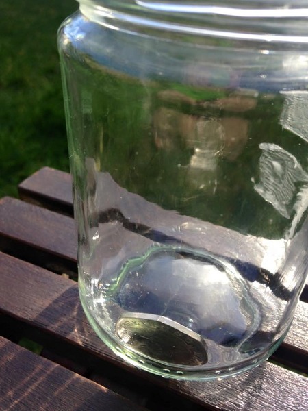 Welcome to our Chernobyl children project for 2016!!