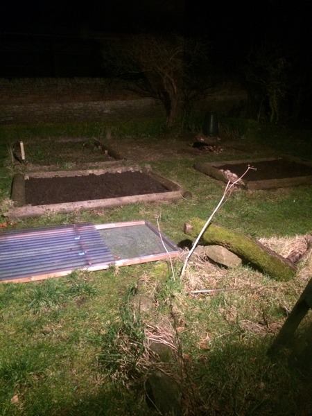 Allotment/Veg Patch Thread 5 - The Diggers Rest !