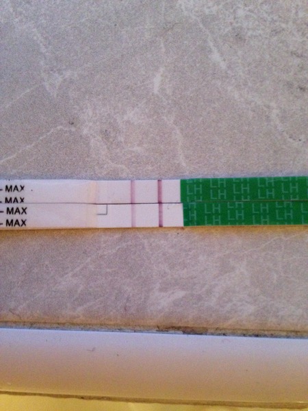 OPK experts come hither...