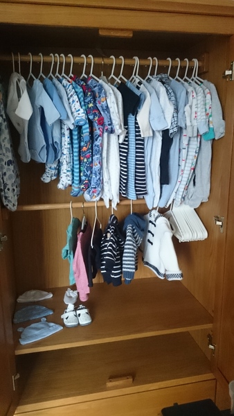 June 2016 #7 - We're still waiting for the second trimester "bloom" but healthy babies and stronger kicks all around!!