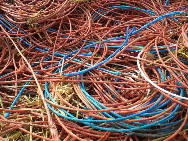 Things you will only ever have experienced if you have lived with a farmer