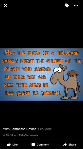 The mind numbing boredom of infertility II