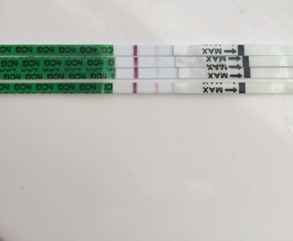 Newbie! Faint pos or evap?