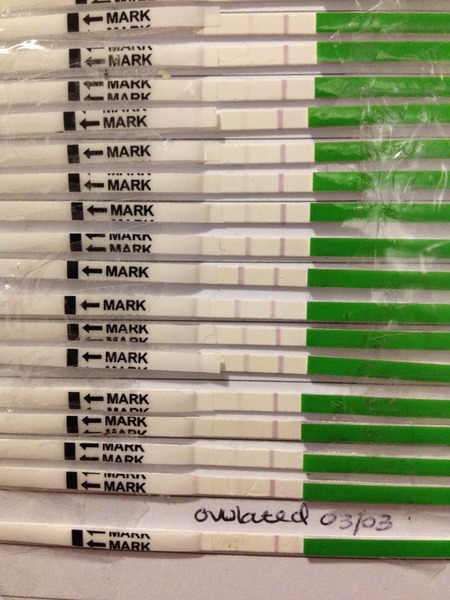 OPK experts come hither...