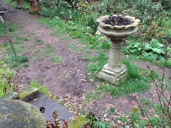 Dogs.......and replacing area of lawn!