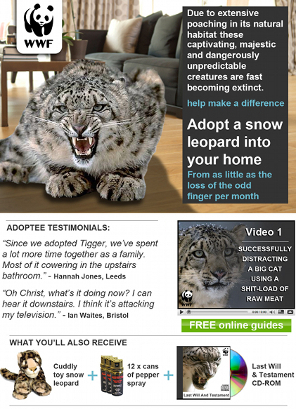 to want a snow leopard?