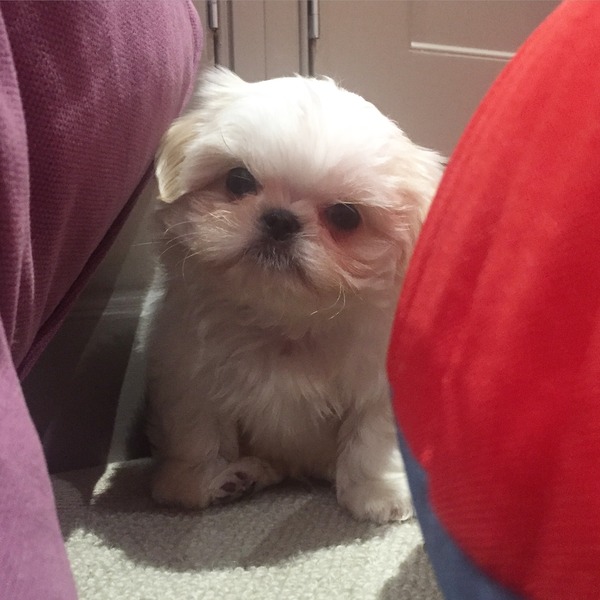 Anyone starting IVF? Join me (5)